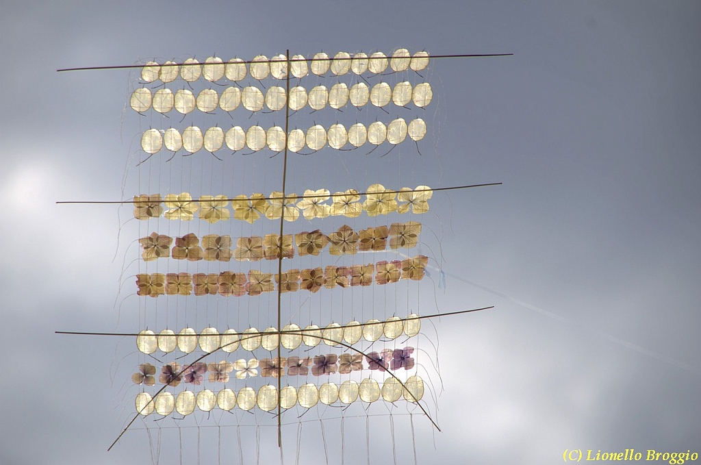 32 FESTIVAL CERVIA 2012 - 299.jpg